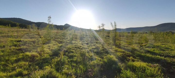 Участок 10 сот. (СНТ, ДНП)