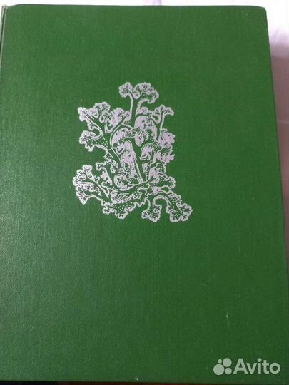 Книга Водоросли, лишайники 1977
