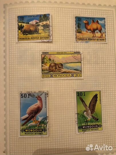 Почтовые марки СССР Фауна 1