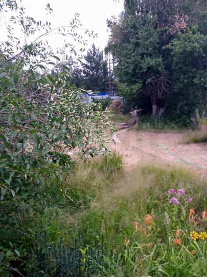 Дача 52 м² на участке 6,5 сот.