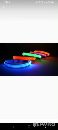 Товары для собак