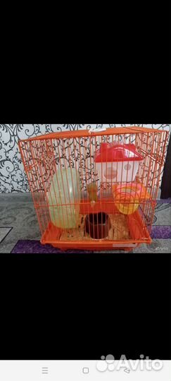 Клетка для грызунов бу