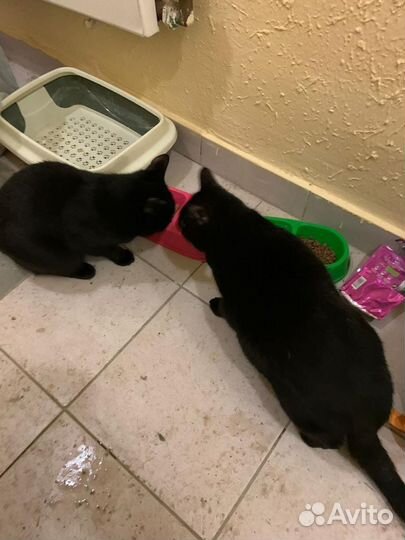 С вещами на выход. Ищу неравнодушных