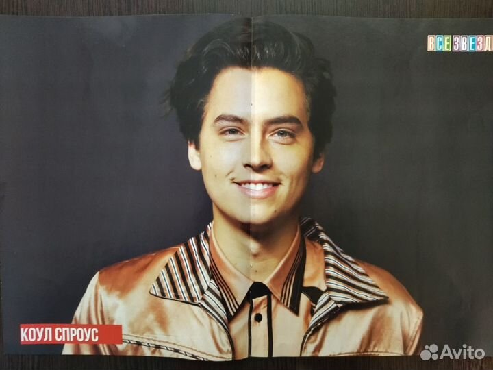 Плакаты / постеры из журнала 