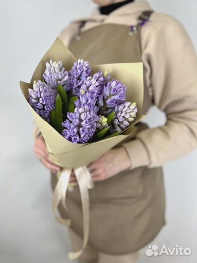 Букет из 9 Гиацинтов в матовой бумаге