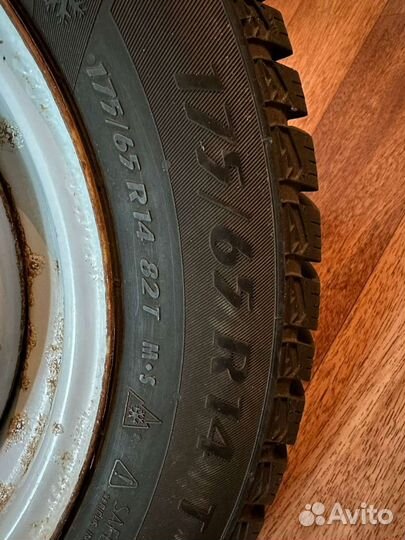 Matador MP 50 Sibir Ice 65 R14