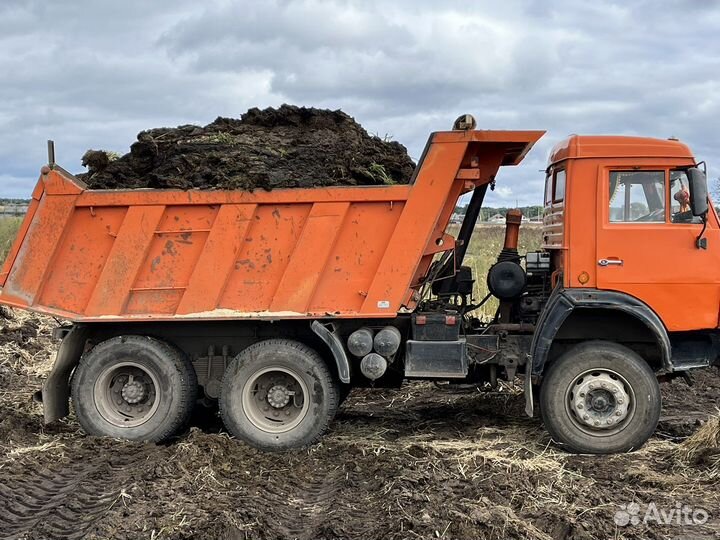 Перегной коровы и навоз