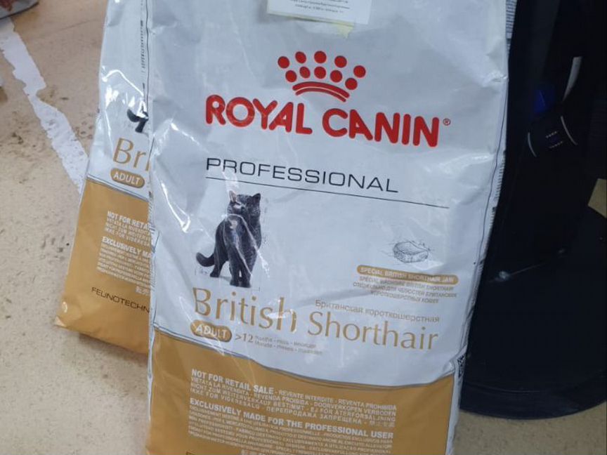 Корм для кошек royal canin