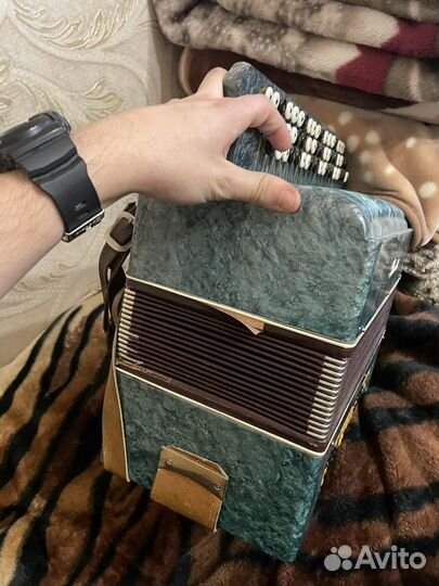 Баян Полтава