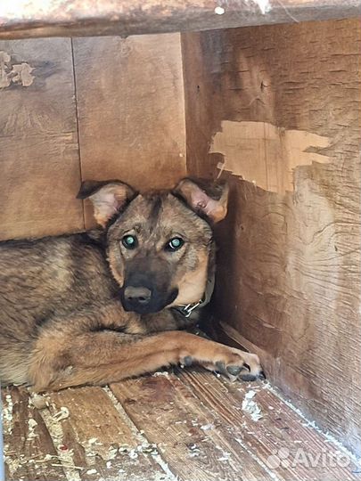 Малышка Лили нуждается в семье