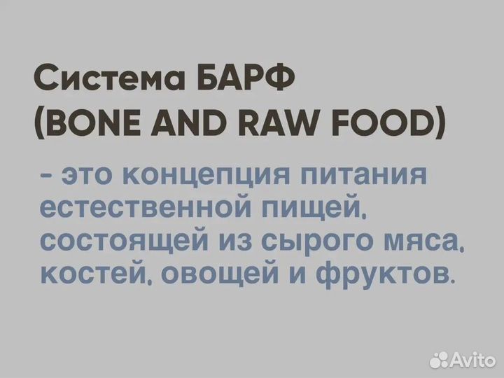 Натуральный корм для собак