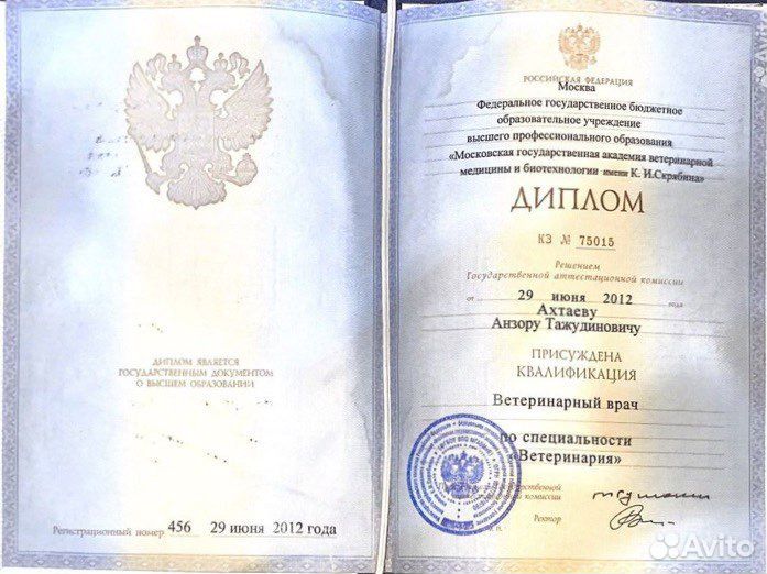 Ветеринарный врач на дом