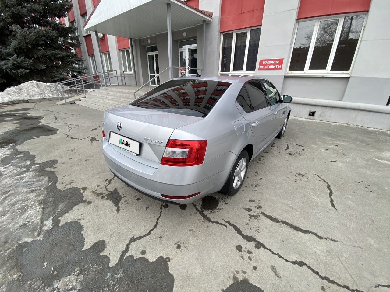 Skoda Octavia: фото владельца