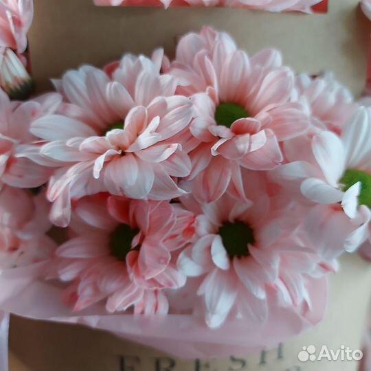 Букет цветов Хризантема Доставка букетов