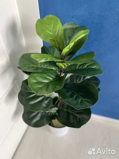 Искусственное растение Фикус каучуконосный