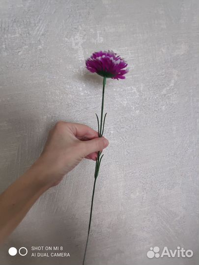 Новые. Искусственная гвоздика