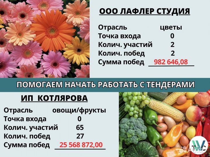 Тендерное сопровождение / Тендерный специалист