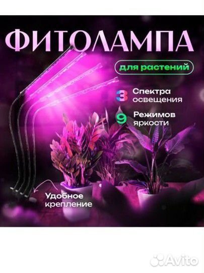 Фитолампа для растений