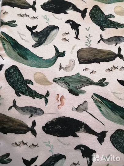 Комплект на выписку