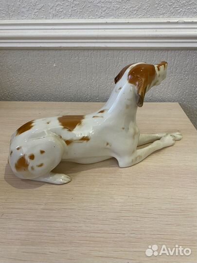 Пойнтер фарфоровая статуэтка СССР