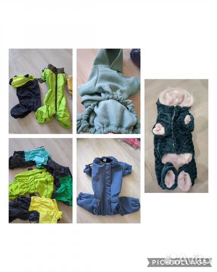 Одежда для собак