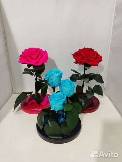 Розы оптом