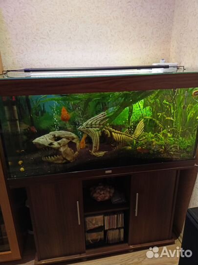 Аквариум Juwel Rio 300L