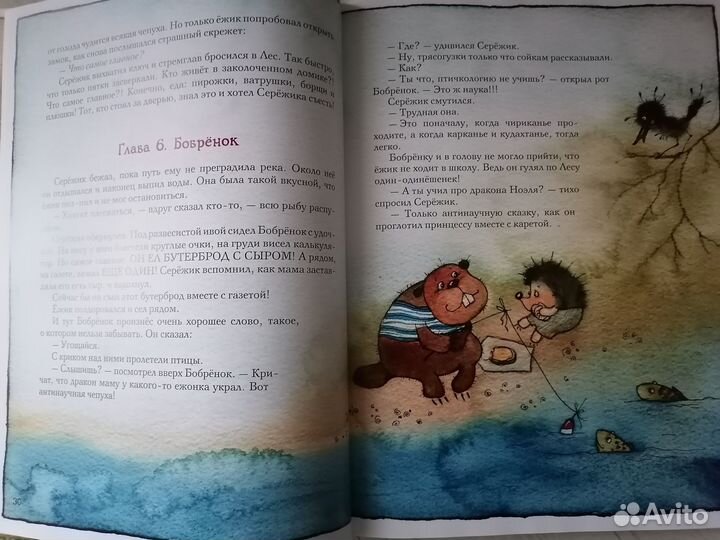 Книга Серёжик