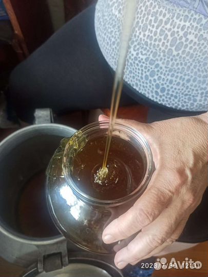 Мёд урожай 2023