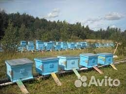 Оборудование для Пчёл