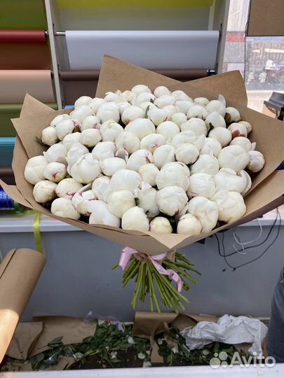 Пионы букет