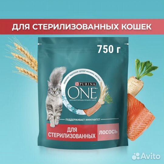 Purina One для кошек