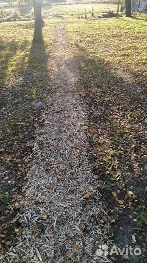 Щепа лиственных пород деревьев