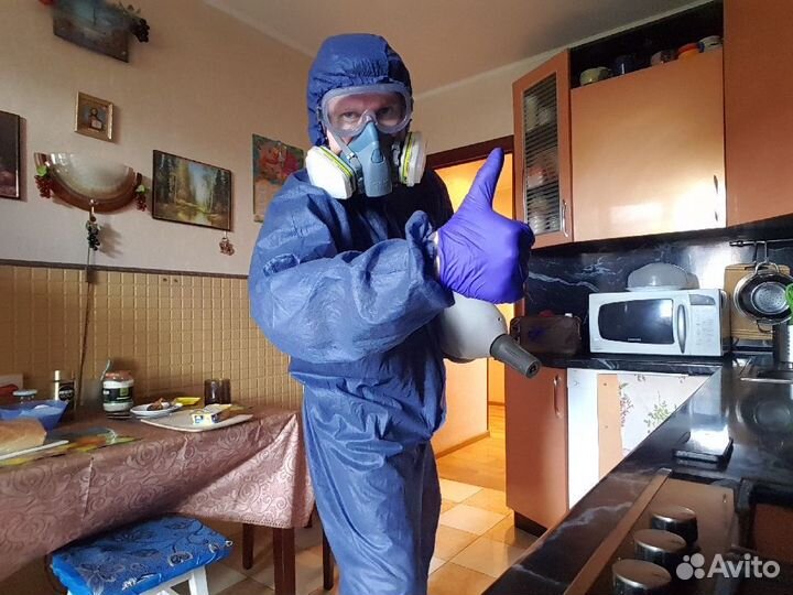 Уничтожение клопов, тараканов, грызунов, муравьев