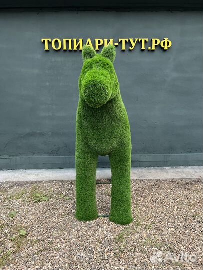 Топиари Топиарные фигуры Садовые фигуры