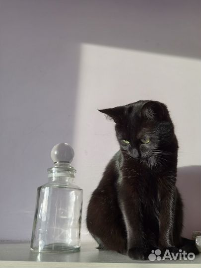 Графин старинный