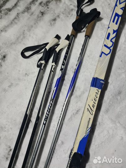 Беговые лыжи