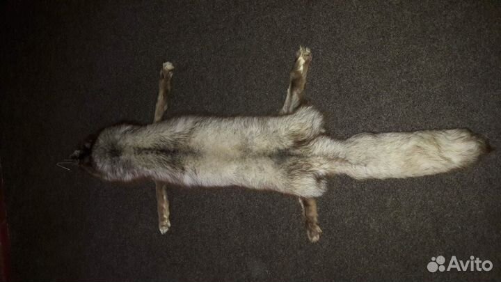 Шкурка песца цельная