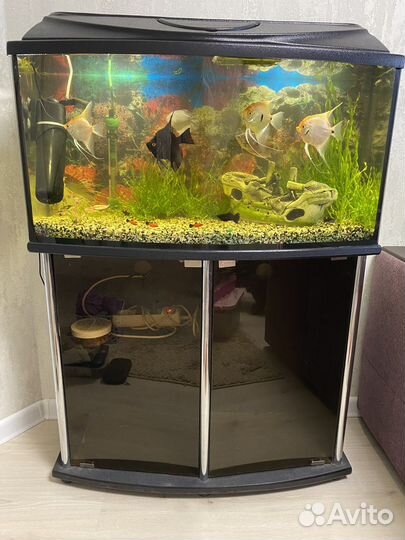 Аквариум