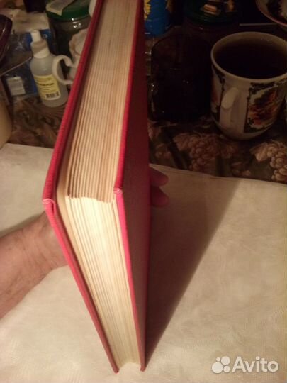 И. Стаднюк. Роман 