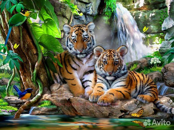Картина по номерам 40x50 Пара милых тигрят и птичк