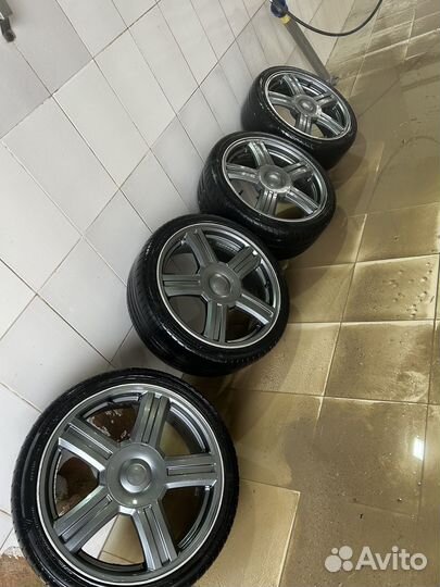 Торусы r17