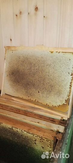 Рамки с медом вес 3-4кг