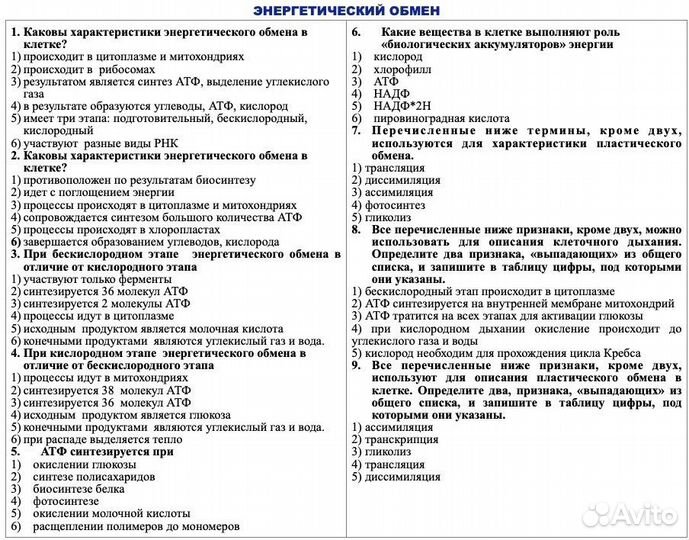 Репетитор по биологии огэ/егэ 2024