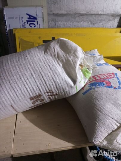 Овёс, корм для животных