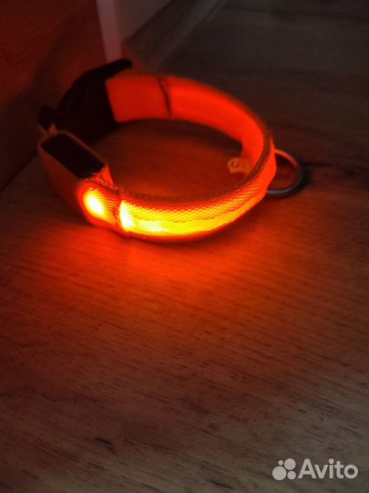 Комплект для маленькой собачки