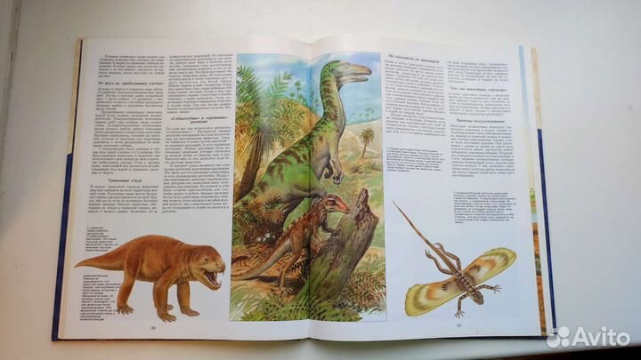 Доисторический мир