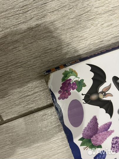 Роббинс, чик и брики