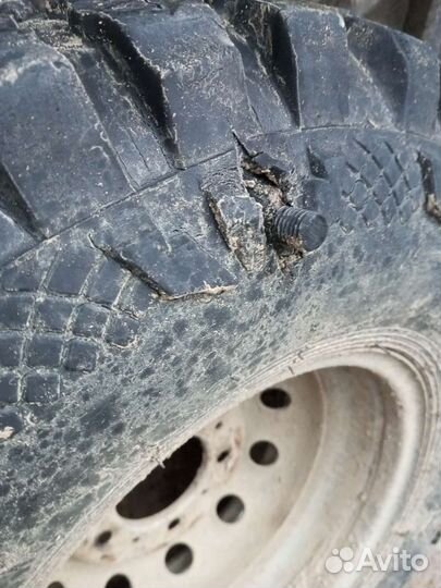 Forward Forward Safari 510 205/90 R15