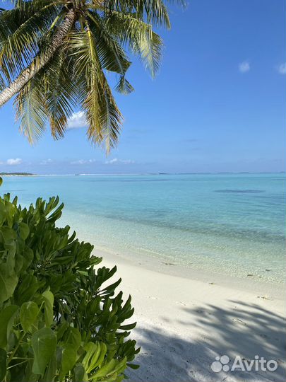 Туры на Мальдивы, отдых в райском месте